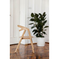 Стілець Guru Cane Natural8